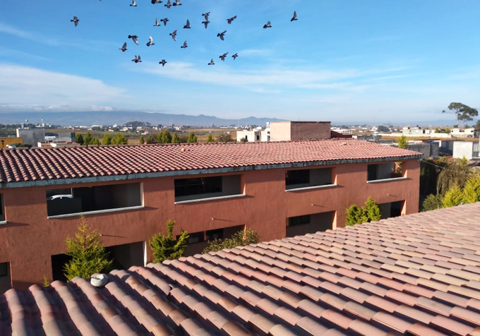 Construcción de parques públicos